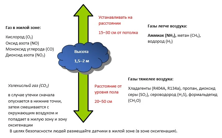 CL11.jpg