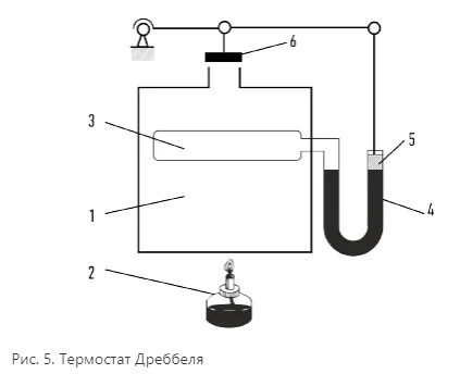 5_Screenshot_344.jpg