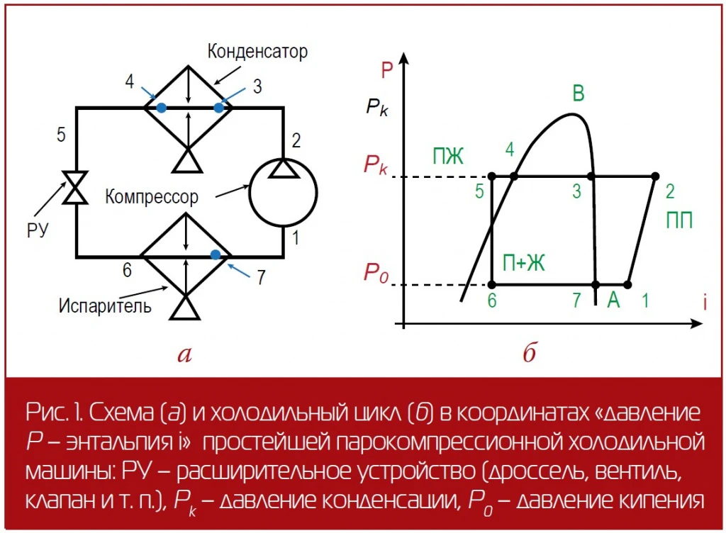 ВБ_исп_ 1.jpg