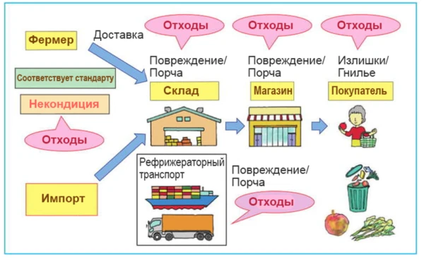 Пример утилизации фруктов и овощей.png